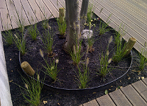 bamboo root barrier