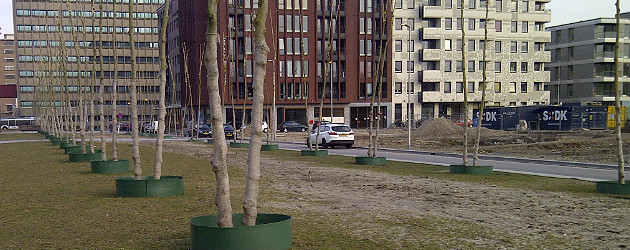 root barrier