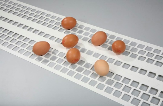 sheet of plastic