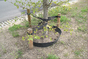 bamboe wortelbegrenzer